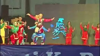 School annual function 