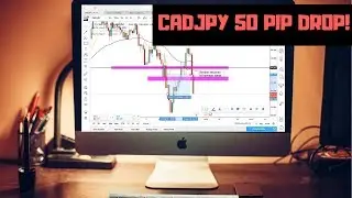 WOW WHAT A SETUP! *FOREX SCALPING MOMENTUM