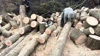 💪💪💪💪
