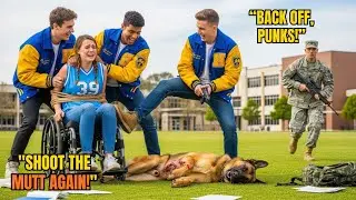 Bullies Tormented a Woman in a Wheelchair and Shot Her Dog &ndash; Until a Navy SEAL Stepped In