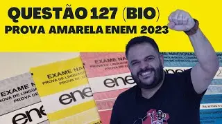 QUESTÃO 127 PROVA AMARELA ENEM 2023 (2 dia)