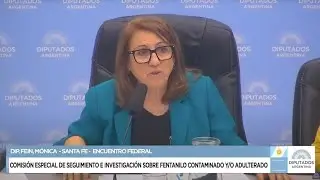COMISIÓN ESPECIAL INVESTIGADORA: FENTANILO - 30 de septiembre 2025 - COMPLETA - Diputados Argentina