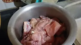 Prayanjal ko chicken khana tha Shraddha Verma family vlogs 