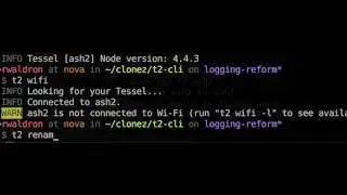 t2-cli: spinner implementation demo 1