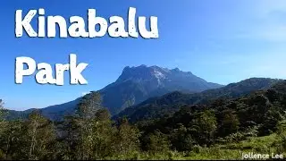 Kinabalu Park Day 1