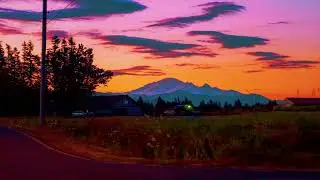 9pm and u - Playboi Carti x Adrian type beat (prod rareflower)