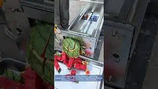 Watermelon Cube Cutting Machine: Perfect Slices Every Time