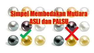Membedakan Mutiara Asli & Palsu | Tes Mutiara | Harga mutiara kerang air laut | Real or fake pearls