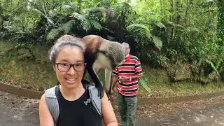 Monkey on Cassie