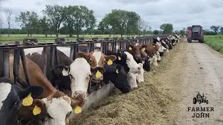 Hoof Trimming & Cutting 3rd Crop Hay