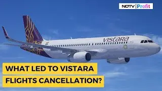 Vistara Flights Cancelled As Pilots Go On Sick Leave | Vistara Flights Cancellation Reason