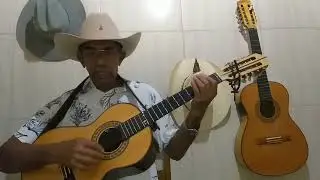 musica. Adeus rio Piracicaba. comp.Craveiro Jesus Belmiro Tião Carreiro.