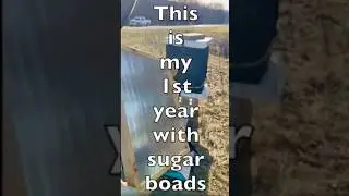 Hive Check - Winter Feeding Honey Bees - David Burns Sugar Boards