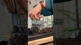Are you ready to start planting for 2025!? My new garden is already calling me😄#garden #seeds
