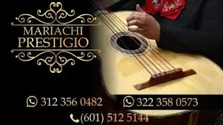 MARIACHI PRESTIGIO 3223560482//SUBA 1/2/2025