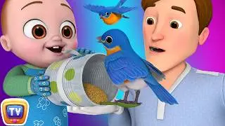Helping Daddy Song with Baby Taku + More ChuChu TV Nursery Rhymes & Toddler Videos for Babies