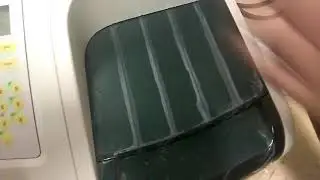 Microplate Reader