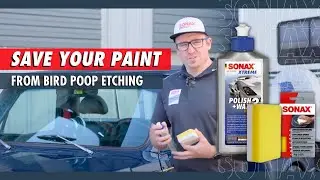 How to Fix Bird Poop Etching on Car Paint (Easy One-Step Method)