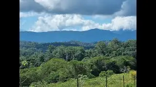 Secret Hideaway in Lake Eacham
