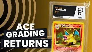 The biggest Ace Grading submission ever!