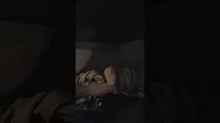 Solo tent camping Wilderness sleep stream Live. chat. Free My favorite streamer