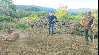 Proyecto huerta, Nazaret y Fati me echan una mano