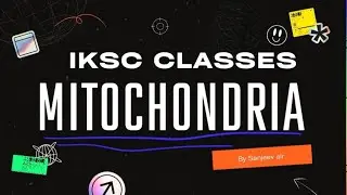 Mitochondria: The Energy Cells of Life Explained!