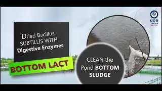 #BOTTOMLACT for#Aquaculture