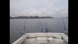 Tribute to Grady White Seafarer 228