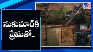 'Pushpa' movie fan sows massive paddy crop to form the face of 'Pushpa' director Sukumar! - TV9