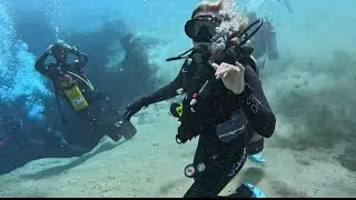 MORRISON SPRING DIVE. 25 OCTOBER 2025.
