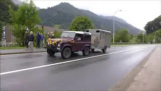 Alpabzug Schwanden 2019