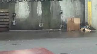 Rats in the alley near the Vancouver convention center