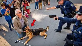 K9 Dog Shields Blind Owner During Police Shooting &mdash; A Story America Will Never Forget