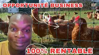 pr&eacute;sentation business &eacute;levage poulet de chaire et pondeuse