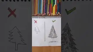 An easy way to draw a fir tree 🌲 learn to draw || drawing method #shorts #art #viral #drawing