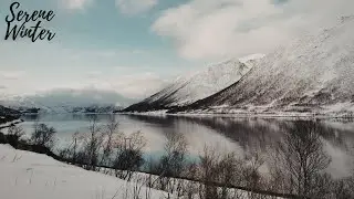 Serene Winter | Dreamy | Bright | Hopeful | Laid Back | Guitar