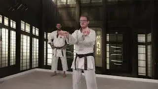Lesson 2 - Sanchin