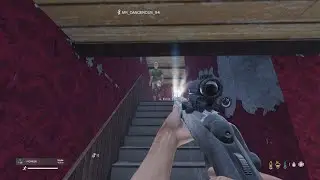 DayZ. Changed my mind