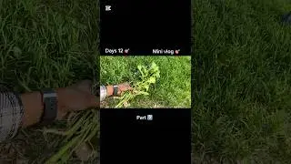 Part 2 mini vlog days 12 🎯🎯🎯. #shortsviral #minivlog #foryou
