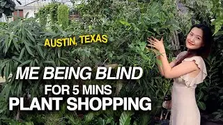 Me Being Plant-Blind for 5 Minutes | Houseplant Shopping Part 1 | Austin, TX