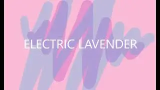 ELECTRIC LAVENDER || ELECTRIC BEATS ||
