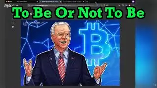 WARNING! BITCOIN DEAD CAT BOUNCE OR ALL TIME HIGH! [Xeonbit Discussion]