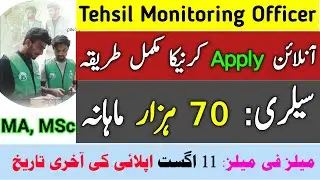 Tehsil Monitoring Officer Online Apply &bull; PSER Survey Urban Unit &bull; jobspunjabgovpk &bull; Government Jobs