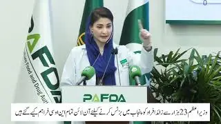The e-business system was launched 60 days ago, said CM pungab Maryam Nawaz #maryam #pmlnleader 