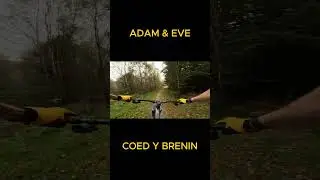 A&E! - MBR Trail Coed Y Brenin  #DH #mtb  #enduromtb #downhill  #gopro  #mountainbiking #rocks