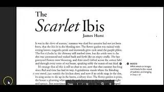 Author's Craft Scarlet Ibis