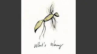 What's Wrong