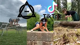 Therian and Quadrobics TikToks || Compilation 🐾🍂 || Alterhumans of TikTok #22