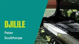 Robert Chamberlain (piano) &ndash; Peter Sculthorpe (1929 - 2014) - &ldquo;Djilile&rdquo; (1989)